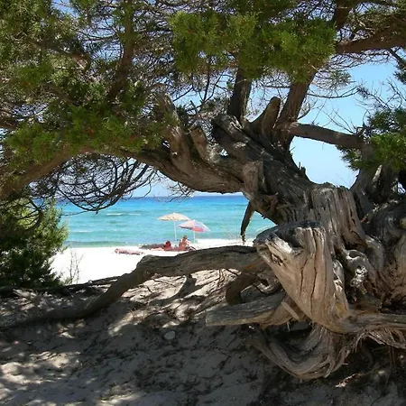 Apartamento Stunning Residence Bouganvillage Studio Sleeps 2 Plus Child Bed Tanaunella
